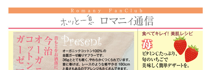 ロマニィ通信